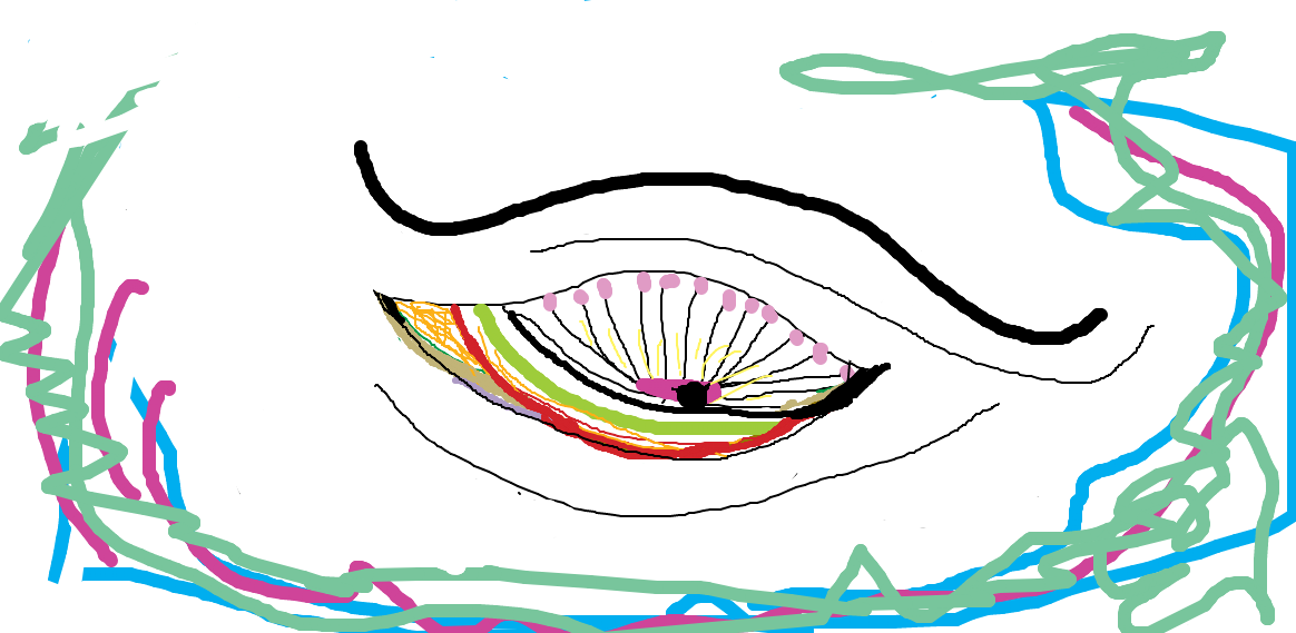 Draw and Share - Oct 21, 2017 06:18 AM